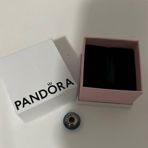 Pandora Charm